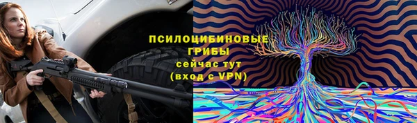 2c-b Болотное