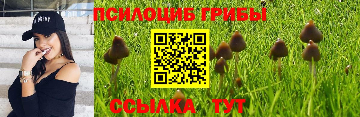 Галлюциногенные грибы Magic Shrooms  купить наркотики сайты  Галлюциногенные грибы прущие грибы  Валуйки  Вход с VPN 