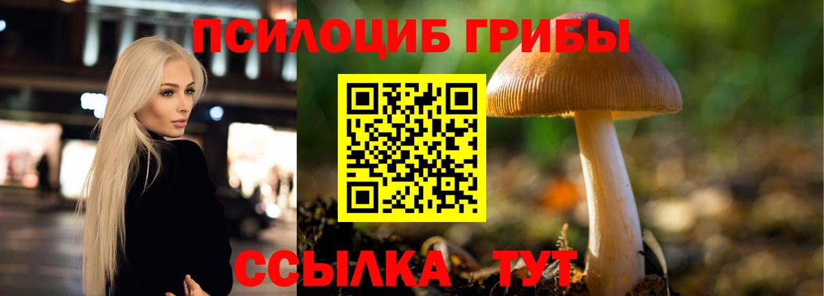 Галлюциногенные грибы Psilocybine cubensis Валуйки